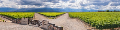 Argentina Travel Landscape Photography Capataz Vineyards Uco Valley Valle de Uco a wine region in Mendoza Province Argentina South America