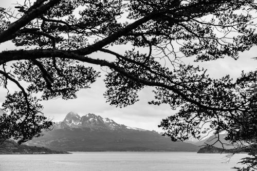 Argentina Travel Landscape Photography Tierra Del Fuego National Park Ushuaia Patagonia Argentina South America