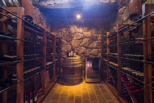 Argentina Travel Landscape Photography Wine cellar with a wine collection including expensive bottles of wine and wine barrel Mendoza Province Argentina South America