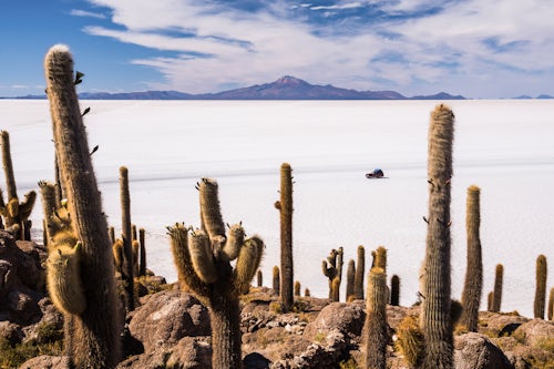 Bolivia Travel Landscape Photography Cactus covered Fish Island Isla Incahuasi or Inka Wasi Uyuni Salt Flats Salar de Uyuni Uyuni Bolivia South America