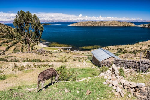 Bolivia Travel Landscape Photography Farm land on Isla del Sol Island of the Sun Lake Titicaca Bolivia South America