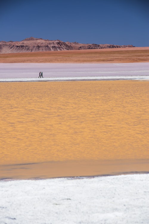Bolivia Travel Landscape Photography Tourists at Laguna Hedionda a salt lake area in the Altiplano of Bolivia South America