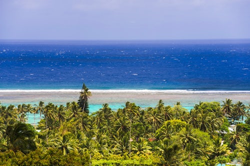 Cook Islands Landscape Travel Photography Tropical palm tree jungle with blue Pacific Ocean behind at Rarotonga Cook Islands South Pacific Ocean