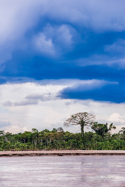 Ecuador Travel Photography Amazon Rainforest storm Coca Ecuador South America