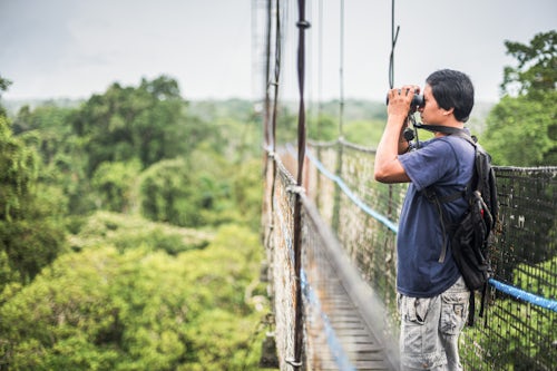 Ecuador Travel Photography Jungle Canopy Walk in Amazon Rainforest at Sacha Lodge Coca Ecuador South America
