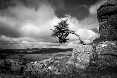 England Landscape Photography Photographer Haytor Rocks Hay Tor Dartmoor Devon England United Kingdom Europe