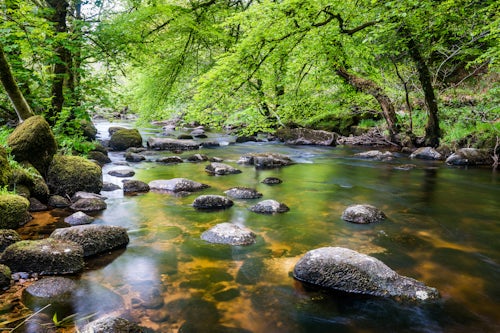 England Landscape Photography Photographer River in Dartmoor Devon England United Kingdom