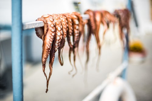 Greece Travel Photography Dried octopus Ermioni Peloponnese Greece