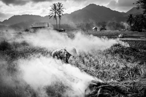 Indonesia Travel Photography Farmer burning crops in rice paddy fields Bukittinggi West Sumatra Indonesia Asia