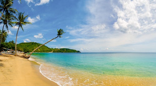 Indonesia Landscape Travel Photography Panorama of an overhanging palm tree at Nippah Beach on Tropical Lombok Island Indonesia Southeast Asia Asia Asia background with copy space