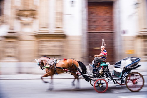 Italy Sicily Travel Photography Horse and cart ride in Palermo Old Town Sicily Italy Europe