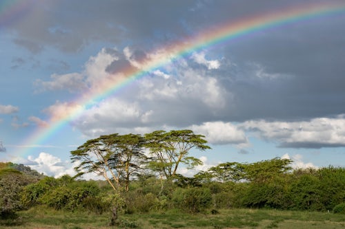 Kenya Landscape Photography Rainbow over Acacia Trees at El Karama Ranch Laikipia County Kenya