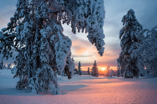 Lapland Finland Landscape Photography Beautiful winter wonderland landscape with snow covered trees and dramatic sunset Lapland Pallas Yllästunturi National Park Finland
