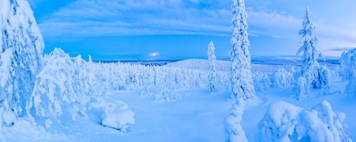Lapland Finland Landscape Photography Snow covered winter landscape Lapland Pallas Yllästunturi National Park Finland