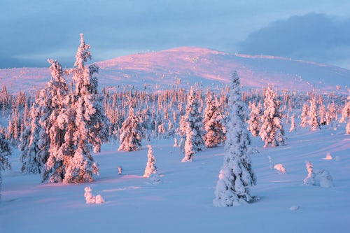 Lapland Finland Landscape Photography Snow covered winter landscape at sunset Lapland Pallas Yllästunturi National Park Finland 3
