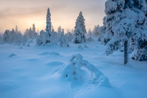 Lapland Finland Landscape Photography Snow covered winter landscape at sunset Lapland Pallas Yllästunturi National Park Finland