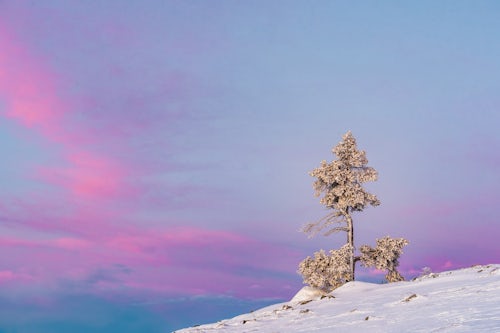 Lapland Finland Landscape Photography Snowy Lapland landscape Akaslompolo Finnish Lapland Finland 2