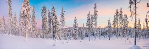 Lapland Finland Landscape Photography Snowy winter landscape near Akaslompolo Finnish Lapland Finland