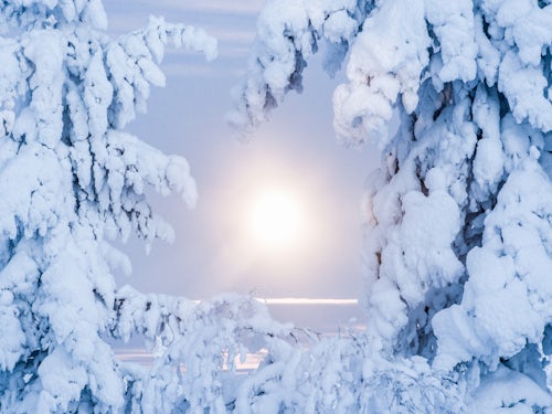Lapland Finland Landscape Photography Super moon full moon landscape of snow covered trees forest and remote winter wilderness in Lapland Pallas Yllästunturi National Park Finland Arctic Circle Europe