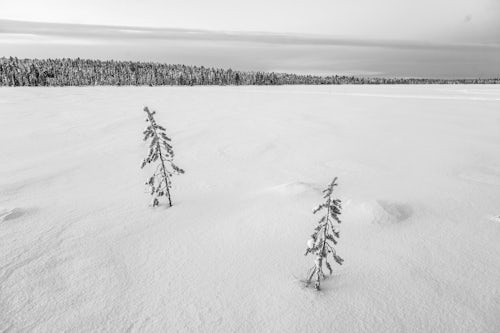 Lapland Finland Landscape Photography Torassieppi winter landscape Finnish Lapland Finland