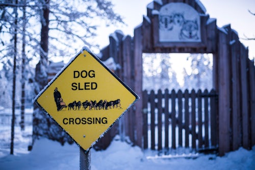 Lapland Finland Travel Photography Funny dog sled crossing sign in Lapland Arctic Circle Finland Europe