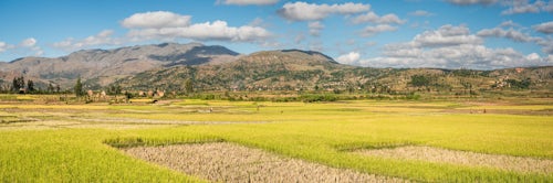Madagascar Landscape Photography Manandoana Valley rice paddy fields near Antsirabe Antananarivo Province Madagascar Central Highlands