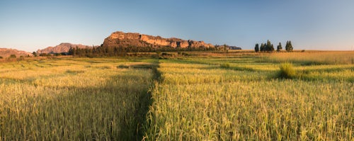 Madagascar Landscape Photography Rice fields at sunrise with mountains of Isalo National Park behind Ihorombe Region Southwest Madagascar
