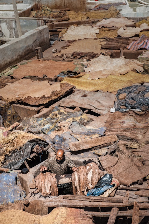 Morocco Travel Photography Man working at a tannery in Marrakech old Medina Morocco North Africa Africa