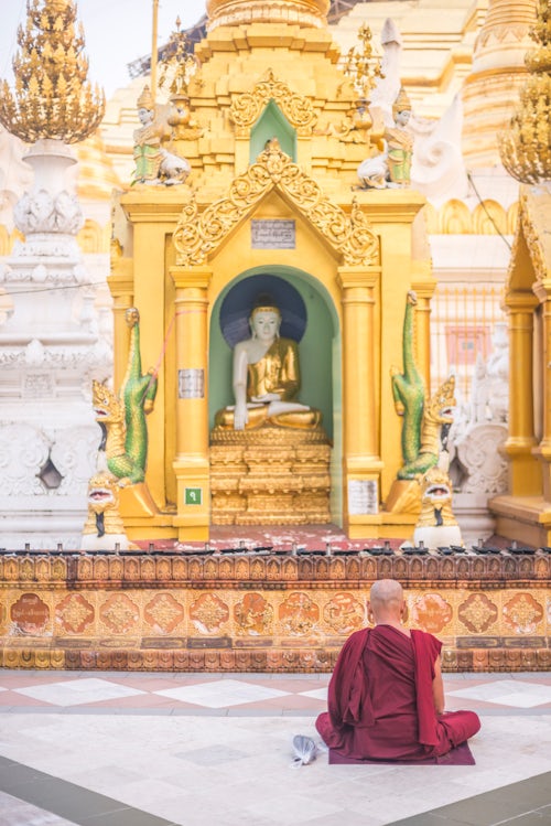 Myanmar Burma Travel Photography Buddhist monk praying at Shwedagon Pagoda aka Shwedagon Zedi Daw or Golden Pagoda Yangon Rangoon Myanmar Burma