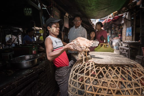 Myanmar Burma Travel Photography Chickens for sale at a street market in Downtown Yangon Rangoon Myanmar Burma 2