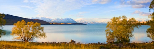 New Zealand Landscape Photography Panoramic Photo of Autumn Trees at Lake Tekapo South Island New Zealand