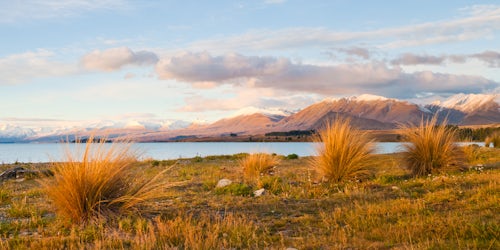 New Zealand Landscape Photography Panoramic Photo of Autumn at Lake Tekapo South Island New Zealand