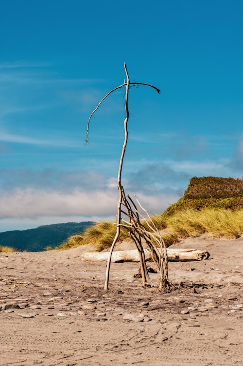 New Zealand Travel Photography Driftwood Art Sculpture on Ross Beach West Coast South Island New Zealand