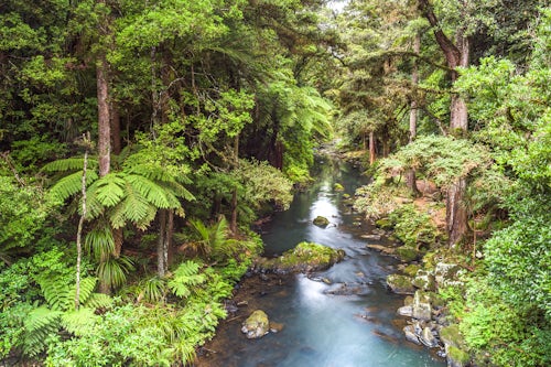 New Zealand Landscape Photography Hatea River landscape at the Whangarei Falls a waterfall in the Northlands Region of North Island New Zealand