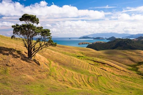 New Zealand Landscape Photography West Coast of Coromandel Peninsula New Zealand North Island