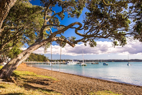 New Zealand Landscape Travel Photography Swing hanging from a Pohutukawa Tree on Russell Beach Bay of Islands Northland Region North Island New Zealand
