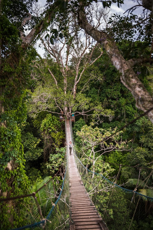 Peru Travel Photography Amazon Jungle swinging rope bridge in Puerto Maldonado area of Peru South America 2