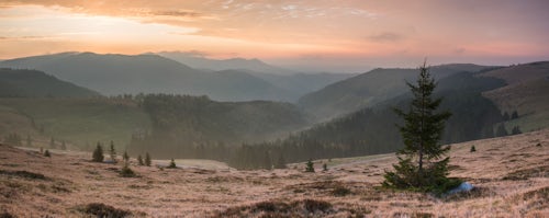 Romania Landscape Photography Misty forest and Carpathian Mountains landscape at sunrise Ranca Parang Mountains Oltenia Region Romania 2