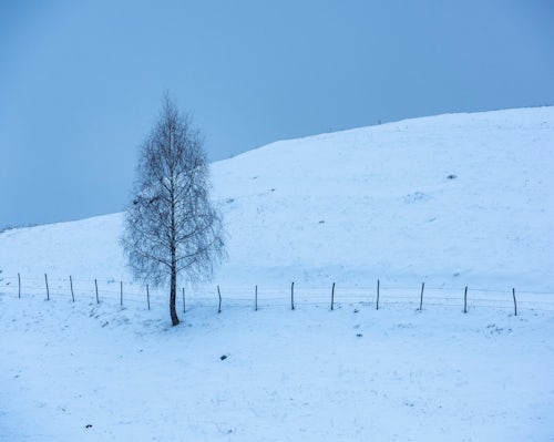 Romania Landscape Photography Winter landscape near Bran in the Carpathian Mountains Transylvania Romania background with copy space