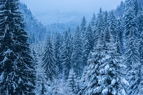 Romania Landscape Photography Winter landscapes of Carpathian Mountains near Brasov Brasov County Romania