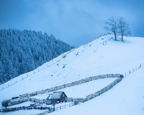 Romania Landscape Travel Photography Bran Castle covered in snow in winter Transylvania Romania 4