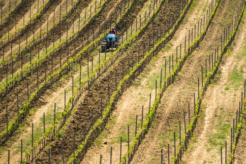 Romania Landscape Travel Photography Tractor working on vineyards at a winery near Brasov Transylvania Romania