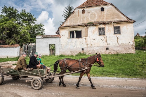 Romania Travel Photography Horse and cart in Viscri Transylvania Romania