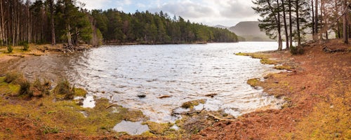 Scotland Landscape Photography Loch an Eilein and the Rothiemurchus Forest Aviemore Cairngorms National Park Scotland United Kingdom Europe