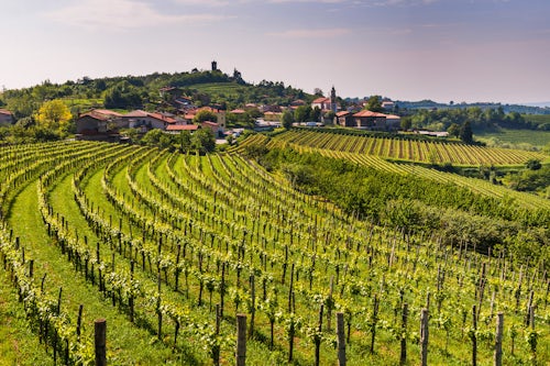 Slovenia Landscape Photography Kojsko Goriska Brda Slovenia View of vineyards and Kojsko Goriska Brda Gorizia Hills Slovenia Europe