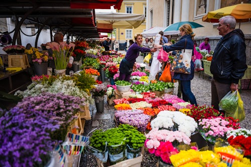 Slovenia Street Photography Flower stall in Ljubljana Central Market on a Saturday in Vodnikov Trg Slovenia Europe