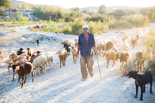 Spain Travel Photography Goat Herder Mojacar Andalucia Almeria Spain 2