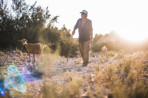 Spain Travel Photography Goat Herder Mojacar Andalucia Almeria Spain