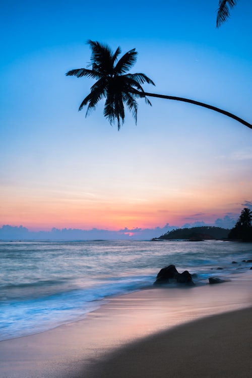 Sri Lanka Beach Seascape Landscape Photography Mirissa Beach palm tree at sunset on tropical Mirissa Beach South Coast of Sri Lanka Southern Province Asia