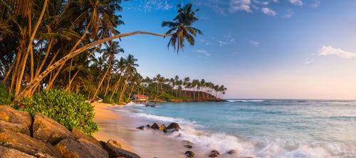 Sri Lanka Beach Seascape Landscape Photography Palm tree on Mirissa Beach South Coast of Sri Lanka Asia